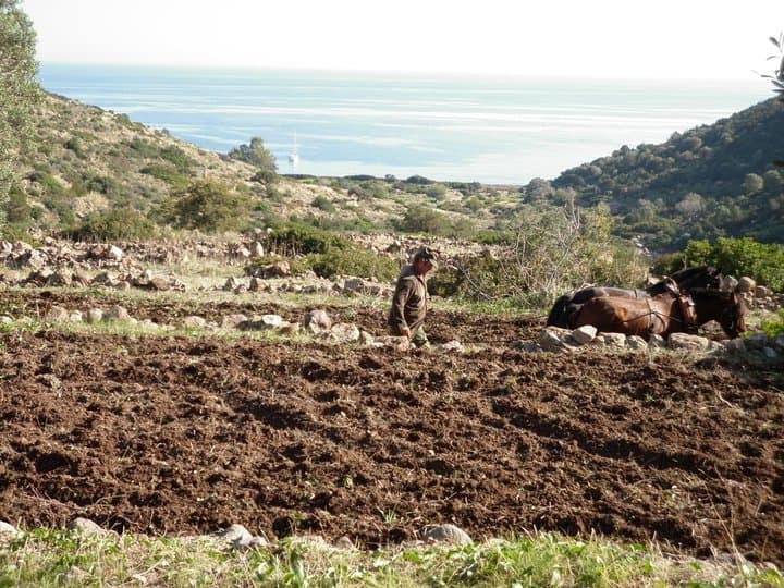 Είναι το κυνήγι διαχειριστικό εργαλείο των φυσικών οικοσυστημάτων;