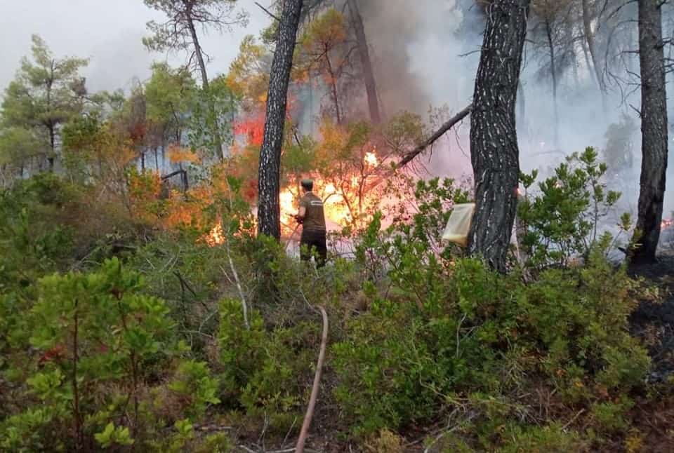 Στην πρώτη γραμμή ο μηχανισμός των κυνηγών