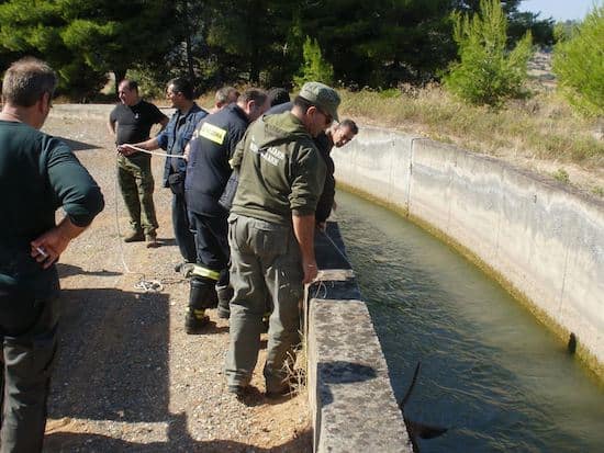 Παγίδες θανάτου για τα ελάφια, στο κανάλι του Μόρνου